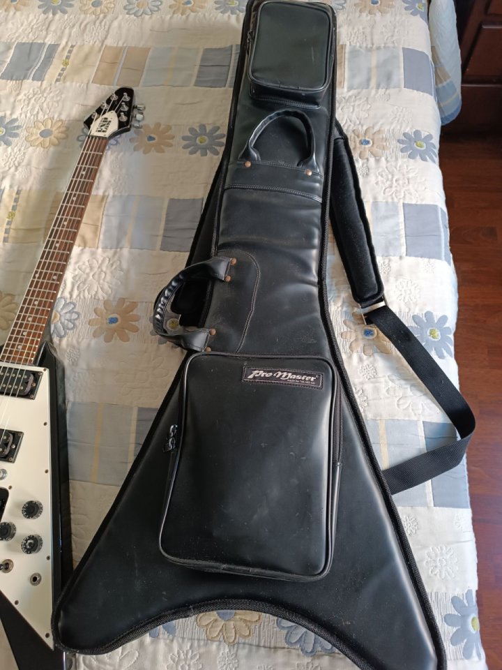 ESP Flying V 1979 de segunda mano · Foto 10 de 10 · Lugo · 1500 €