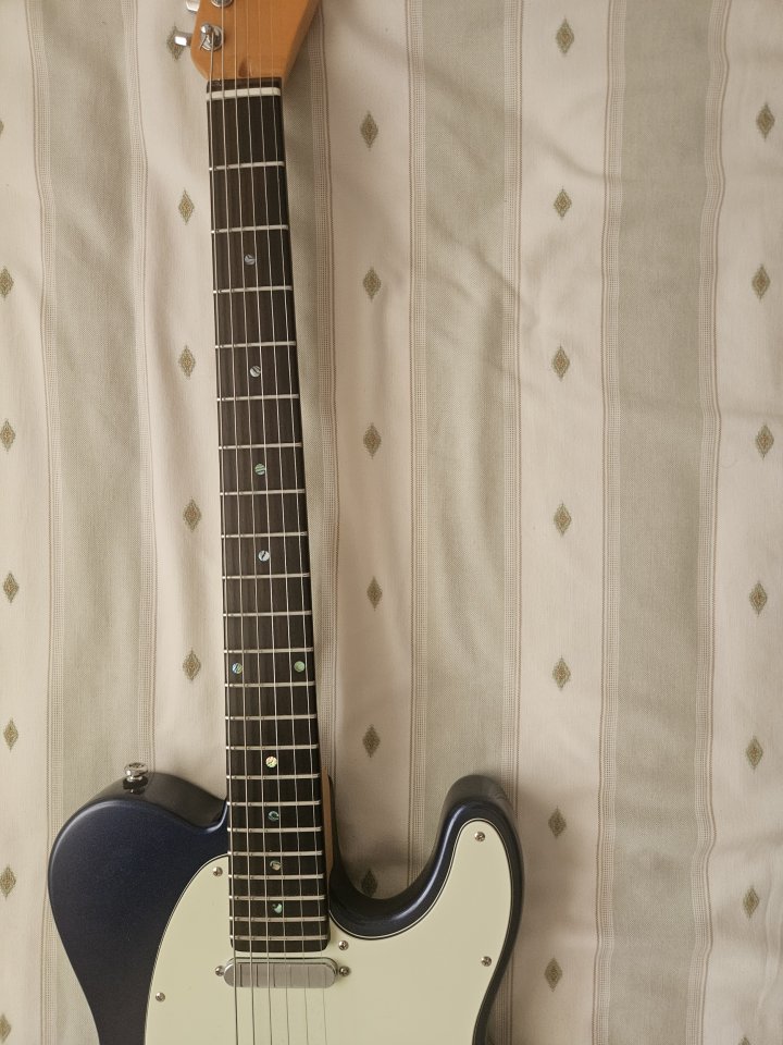 Sire T7. New Gen 2025. O CAMBIO POR SUPERSTRAT de segunda mano · Foto 3 de 9 · Almería · 500 €
