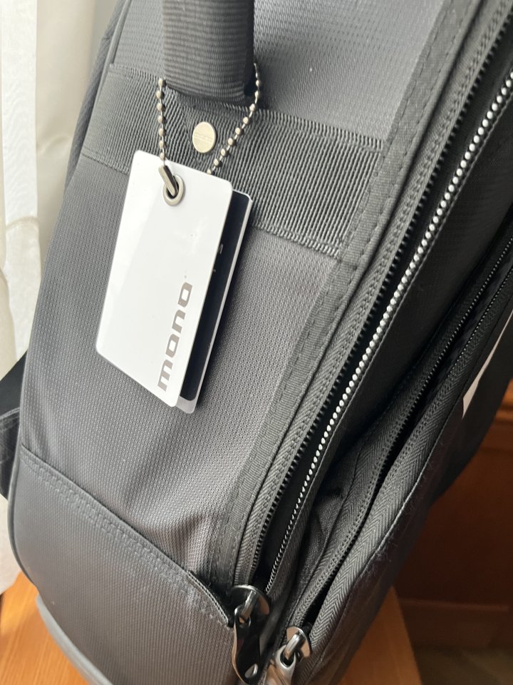 Mono Vertigo Dreadnought acústica funda