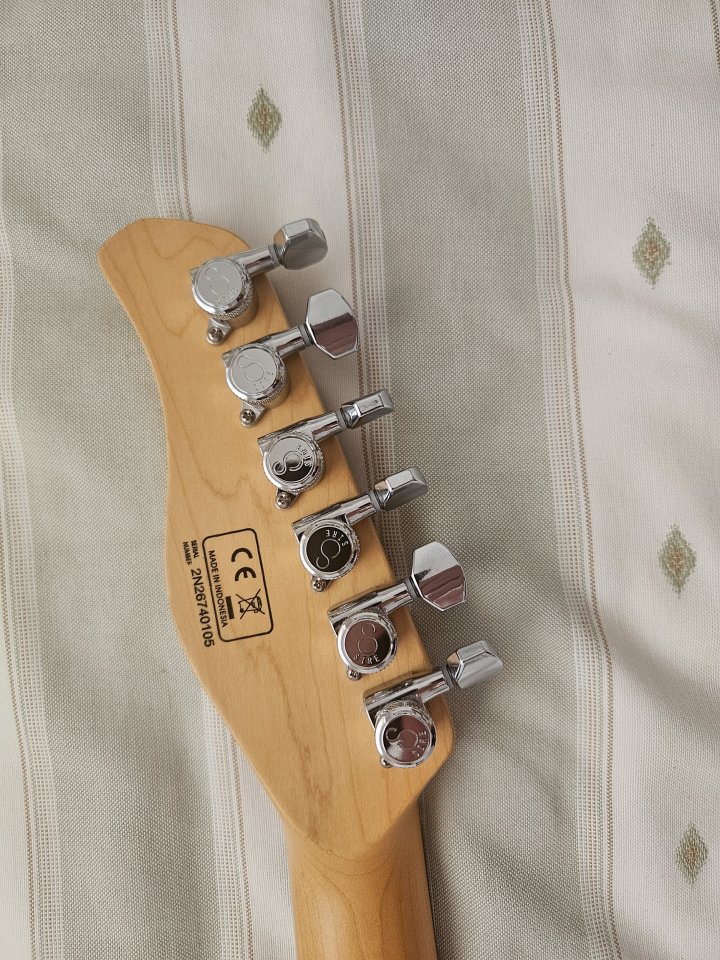 Sire T7. New Gen 2025. O CAMBIO POR SUPERSTRAT de segunda mano · Foto 7 de 9 · Almería · 500 €
