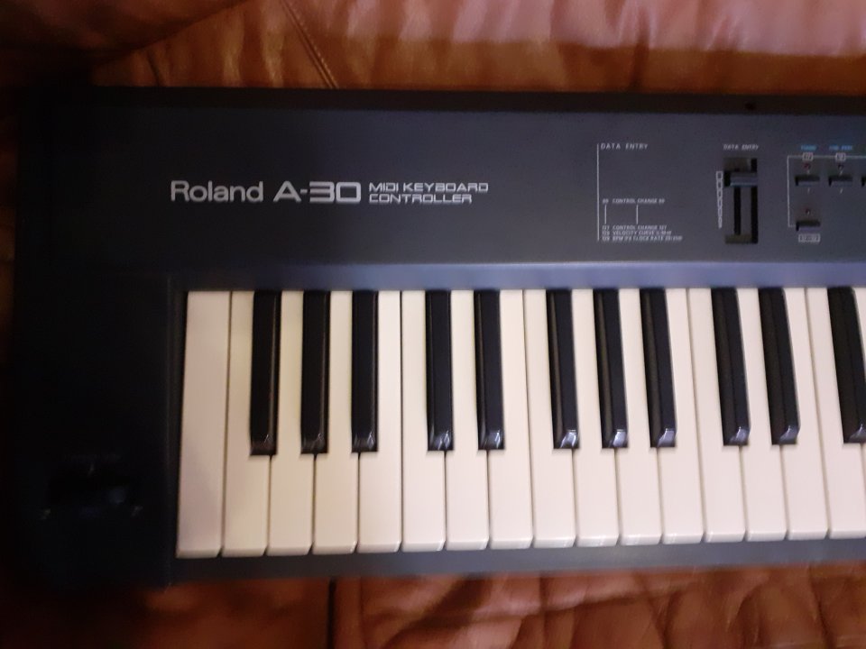 Teclado Roland A-30 MIDI KEY BOARD CONTROLLER de segunda mano · Foto 1 de 3 · Barcelona · 120 €