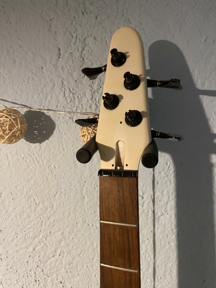 Cambio Proyecto Bass Collection SB 301 SGC by Marina