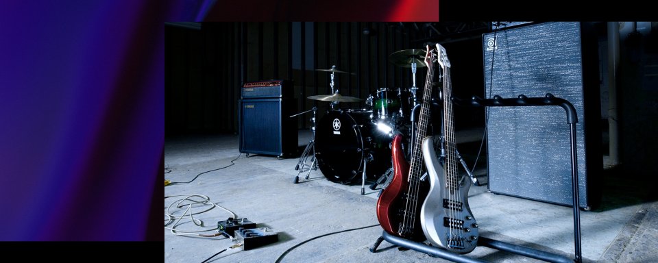 Buscamos bajista intermedio