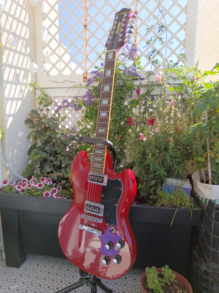 Guitarra 12 cuerdas - Dearmond S73