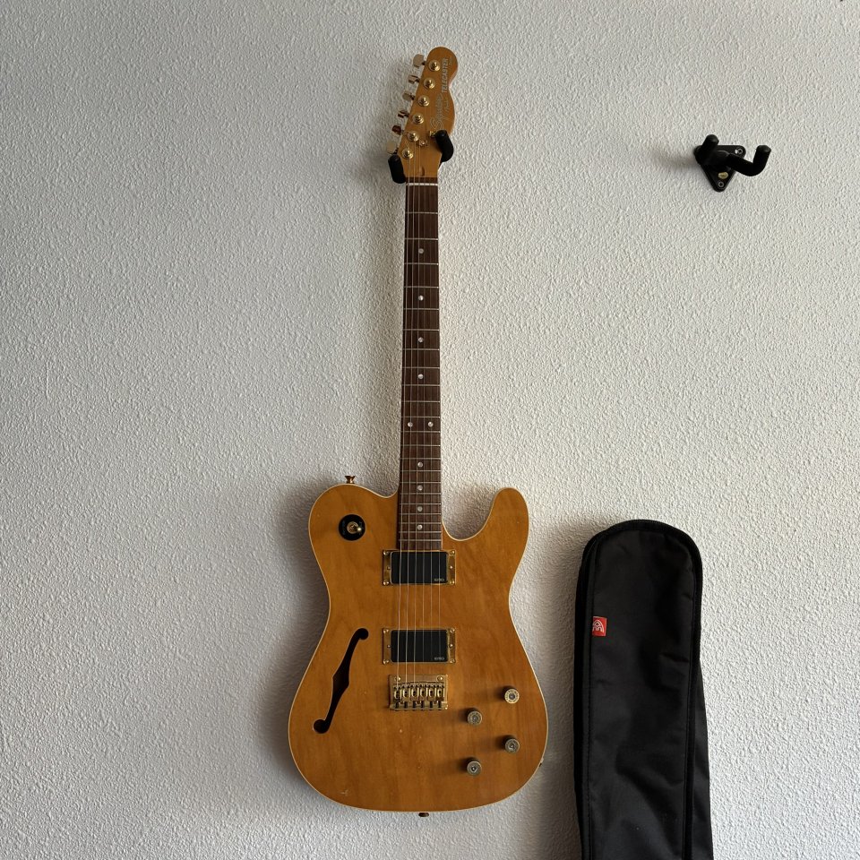 Squier Thinline Telecaster Master Series HH de segunda mano · Foto 2 de 6 · Alicante · 320 €