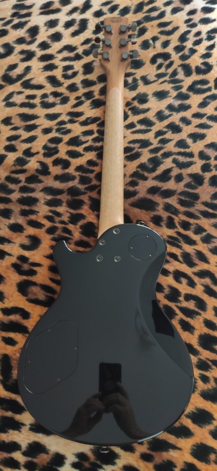Charvel Ds3