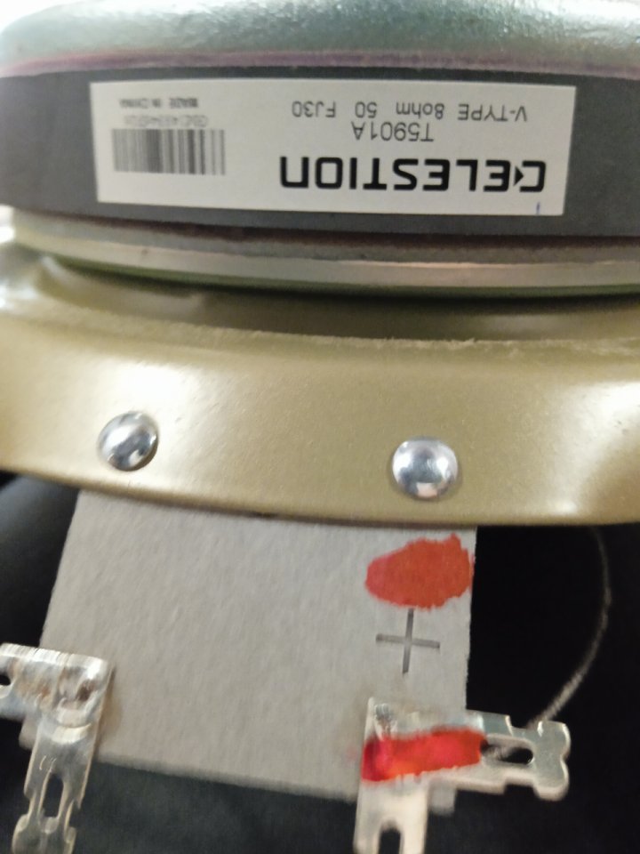 Celestion v-type 8 Ohms