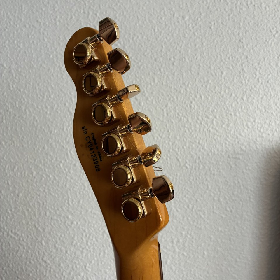 Squier Thinline Telecaster Master Series HH de segunda mano · Foto 5 de 6 · Alicante · 320 €