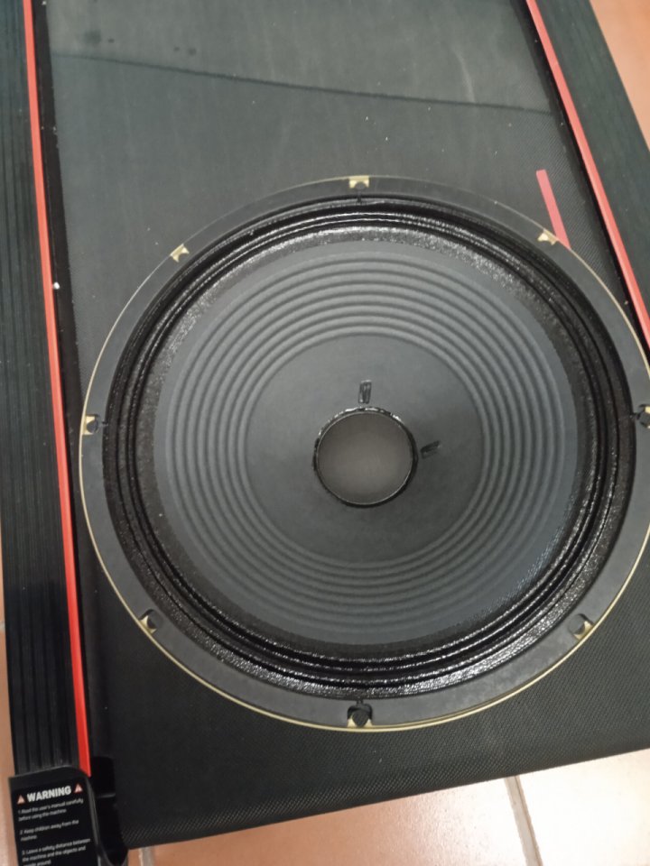 Celestion v-type 8 Ohms