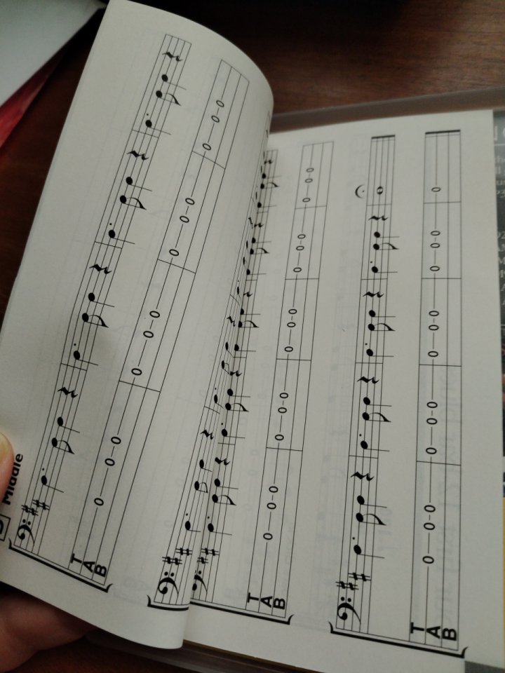 DVD Absolute Beginners Bass Guitar