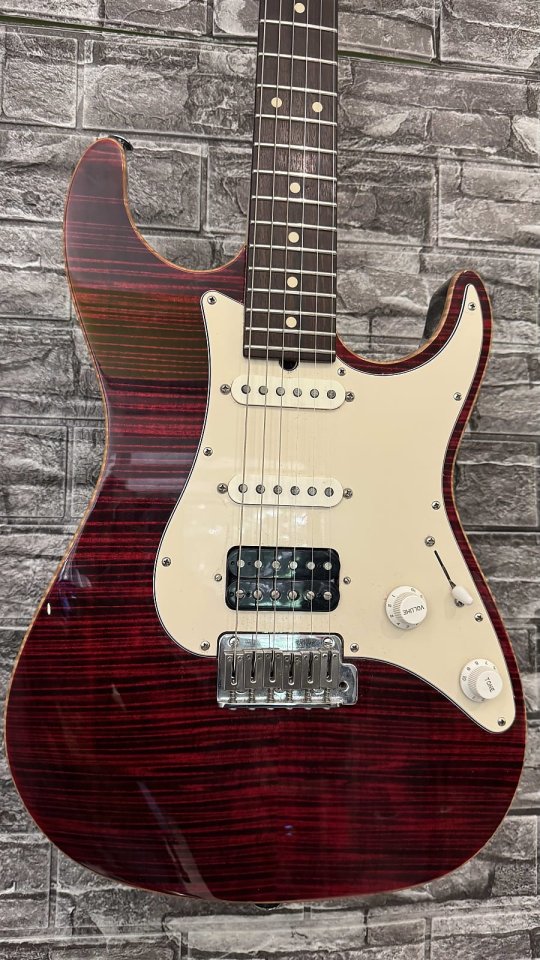 SUHR Pro Series S3 HSS 2010 - Estuche duro - trastes Inox. Muy buen estado