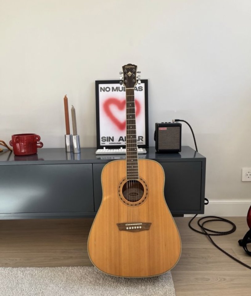 Washburn WD10S de segunda mano · Foto 1 de 5 · Madrid · 250 €