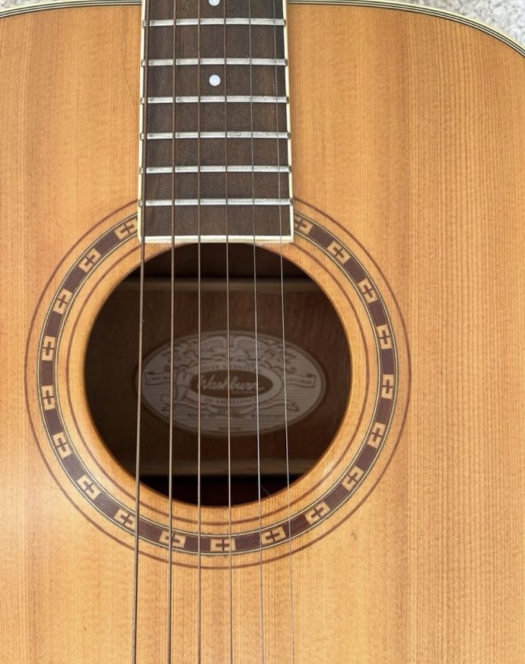 Washburn WD10S de segunda mano · Foto 2 de 5 · Madrid · 250 €