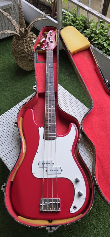 Bajo Eléctrico Hondo