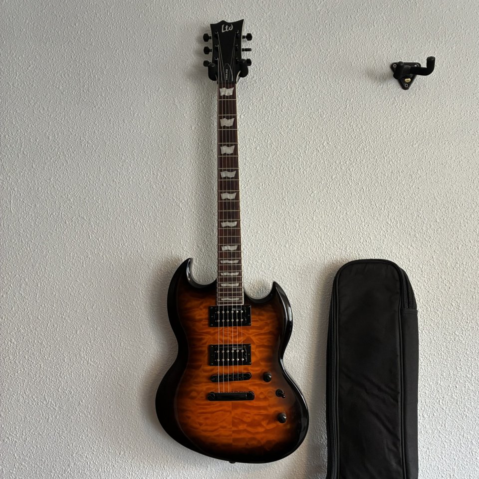 LTD Viper-256 de segunda mano · Foto 2 de 5 · Alicante · 300 €