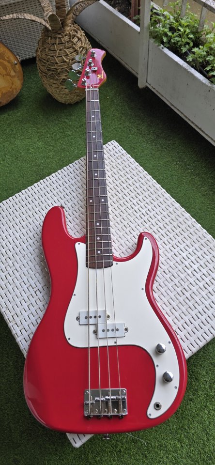 Bajo Eléctrico Hondo