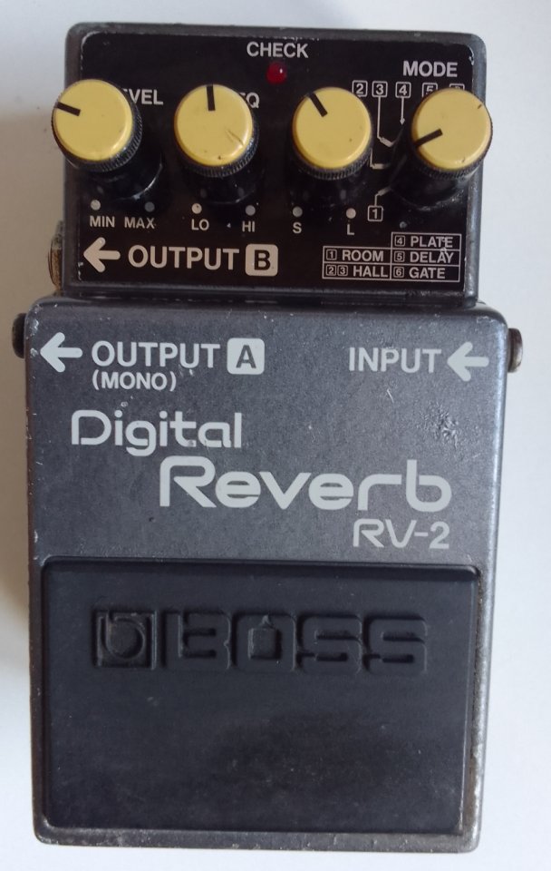 Boss RV-2  (reverbs)