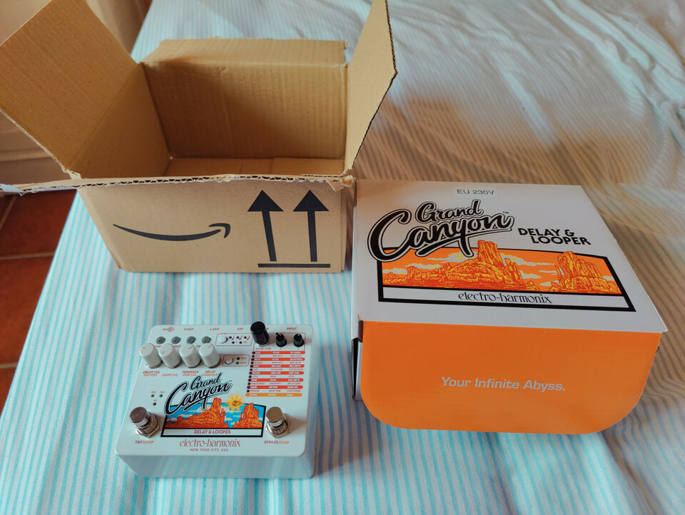 Electro Harmonix Grand Canyon con tres meses. Flamante!!