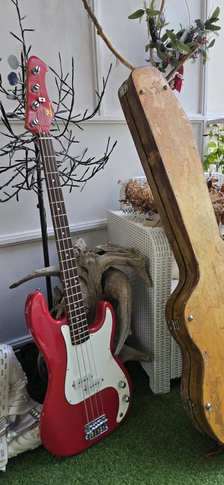 Bajo Eléctrico Hondo