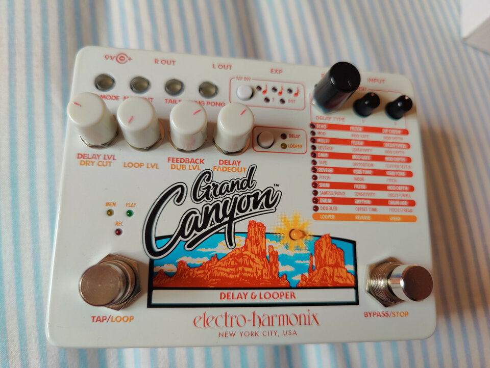 Electro Harmonix Grand Canyon con tres meses. Flamante!!