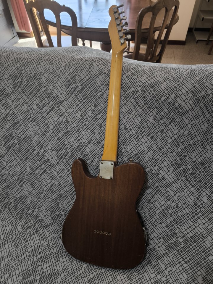 Guitarra Fender Telecaster Thinline Japan