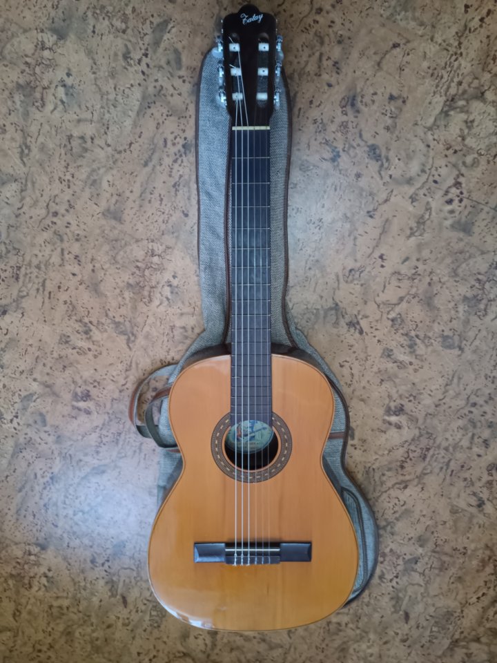 Guitarra clásica Hijos de Vicente Tatay de segunda mano · Foto 1 de 10 · Ourense · 200 €