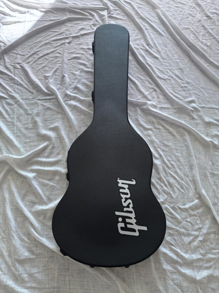 Gibson Sg Supreme Red Wine