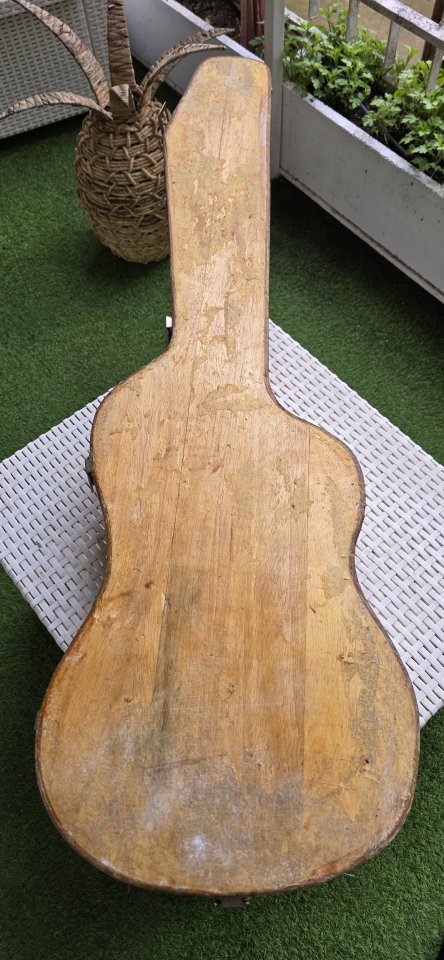 Bajo Eléctrico Hondo