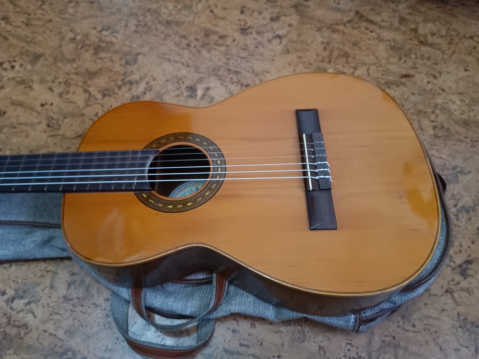 Guitarra clásica Hijos de Vicente Tatay de segunda mano · Foto 2 de 10 · Ourense · 200 €