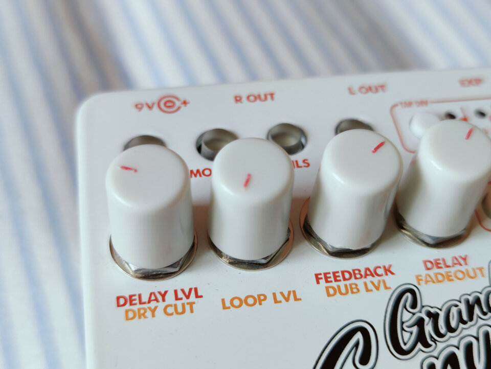 Electro Harmonix Grand Canyon con tres meses. Flamante!!