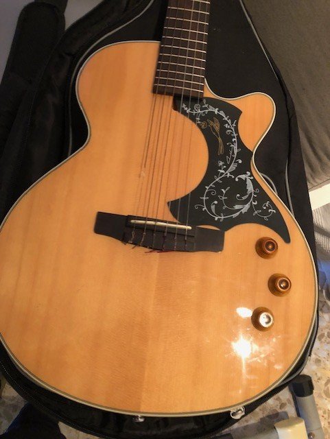 Guitarra Nylon Cort NY Sunset