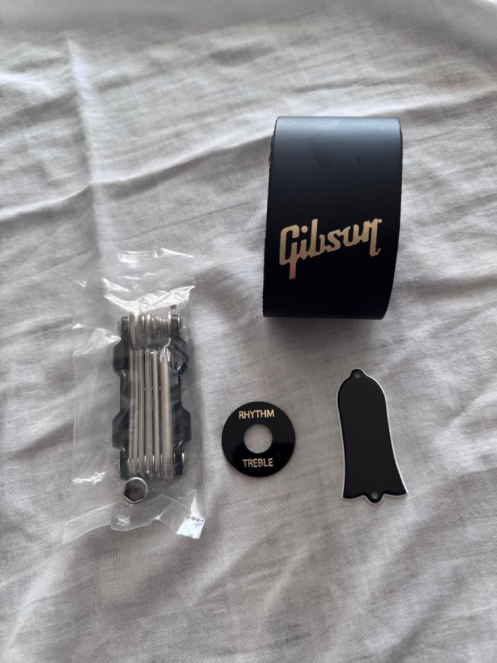 Gibson Sg Supreme Red Wine