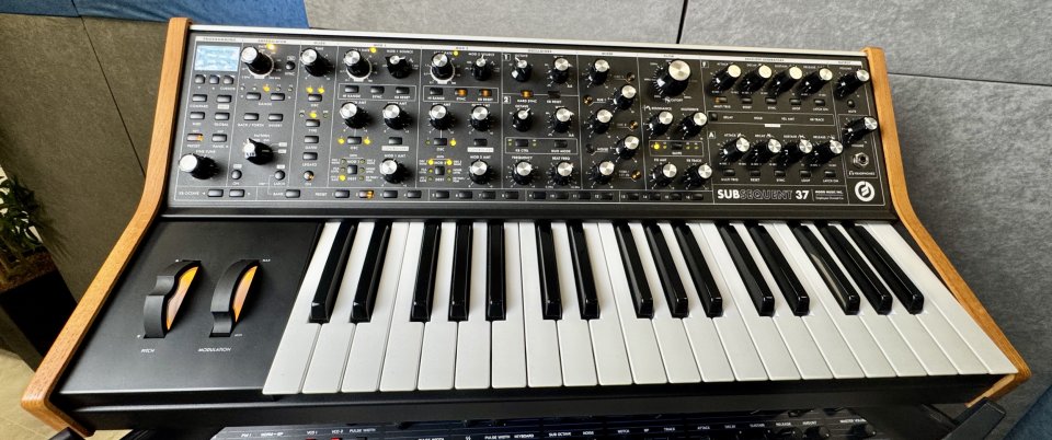 Moog Subsequent 37 Sintetizador Analógico de segunda mano · Foto 1 de 5 · Cádiz · 1300 €
