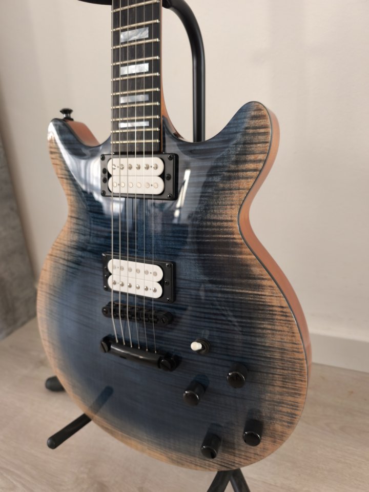 Kiesel Frank gambale