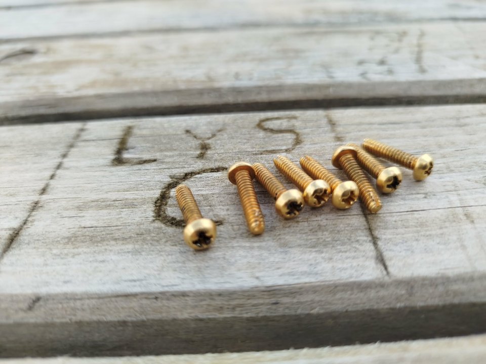 Stratocaster Gold set tornillos dorados de segunda mano · Foto 6 de 6 · Albacete · 15 €