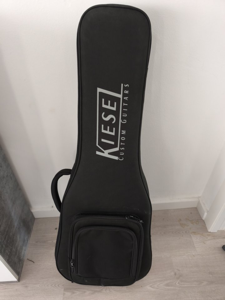 Kiesel Frank gambale