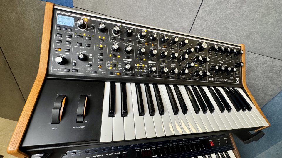 Moog Subsequent 37 Sintetizador Analógico de segunda mano · Foto 5 de 5 · Cádiz · 1300 €