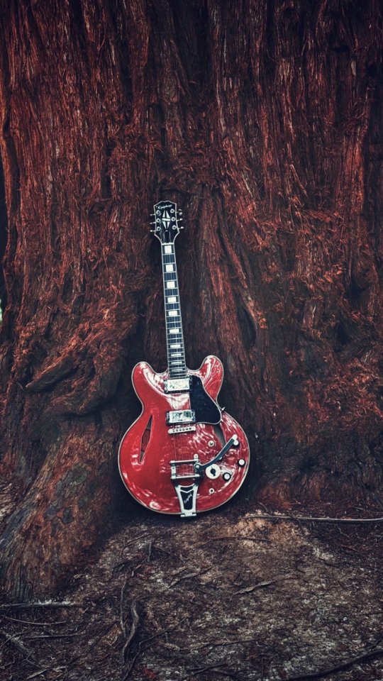 Epiphone Shinichi Ubukata ES-355 Custom Bigsby VER.02 Sixties Cherry de segunda mano · Foto 1 de 3 · Burgos · 1100 €