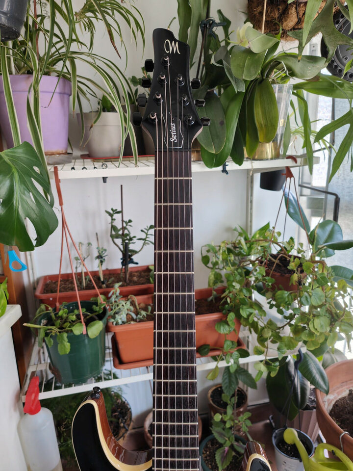 MAYONES Setius 7 cuerdas GTM Trans Black