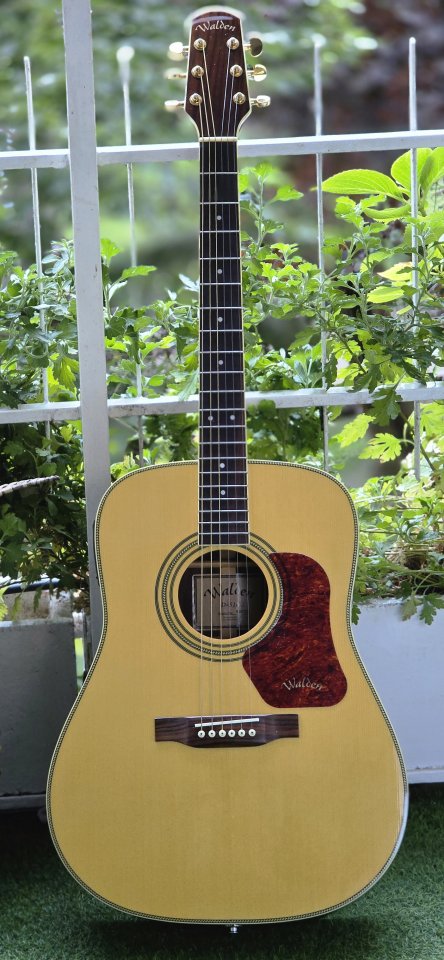 Walden Guitarra  Electroacústica