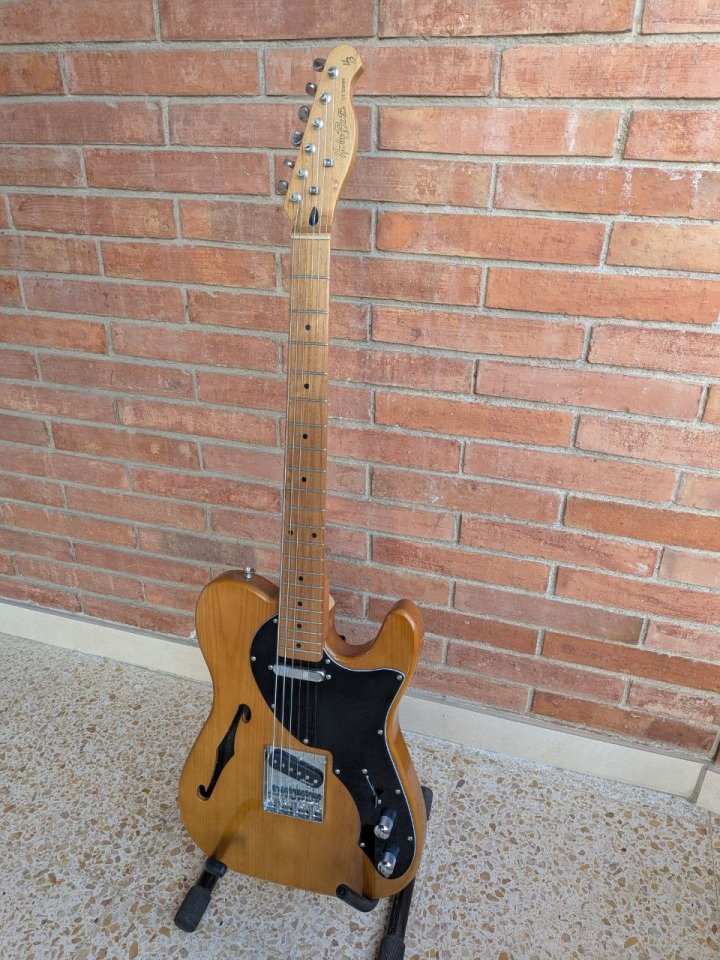 Harley Benton TE-69 de segunda mano · Foto 1 de 6 · Barcelona · 200 €