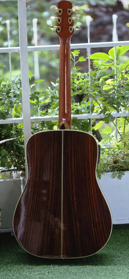 Walden Guitarra  Electroacústica