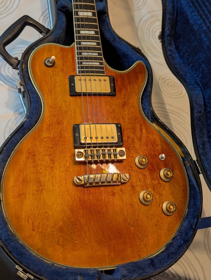 Ibanez PF400.(Cambio por SG)