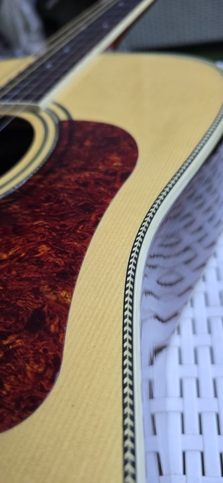 Walden Guitarra  Electroacústica