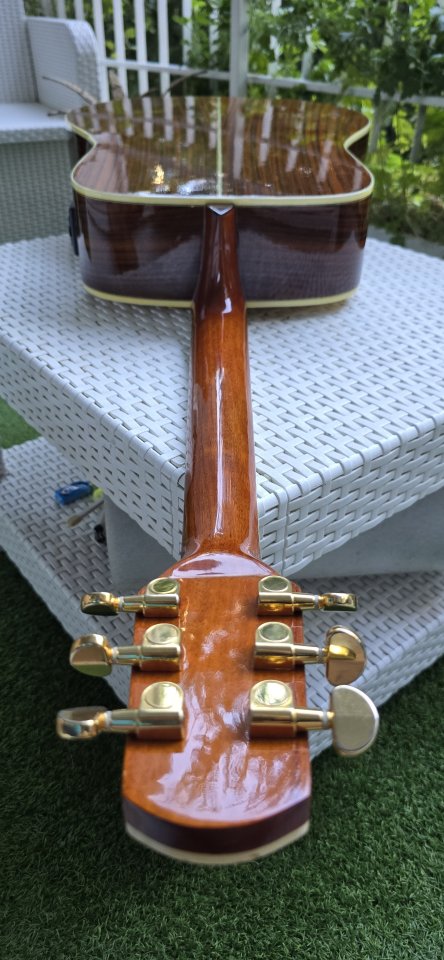 Walden Guitarra  Electroacústica