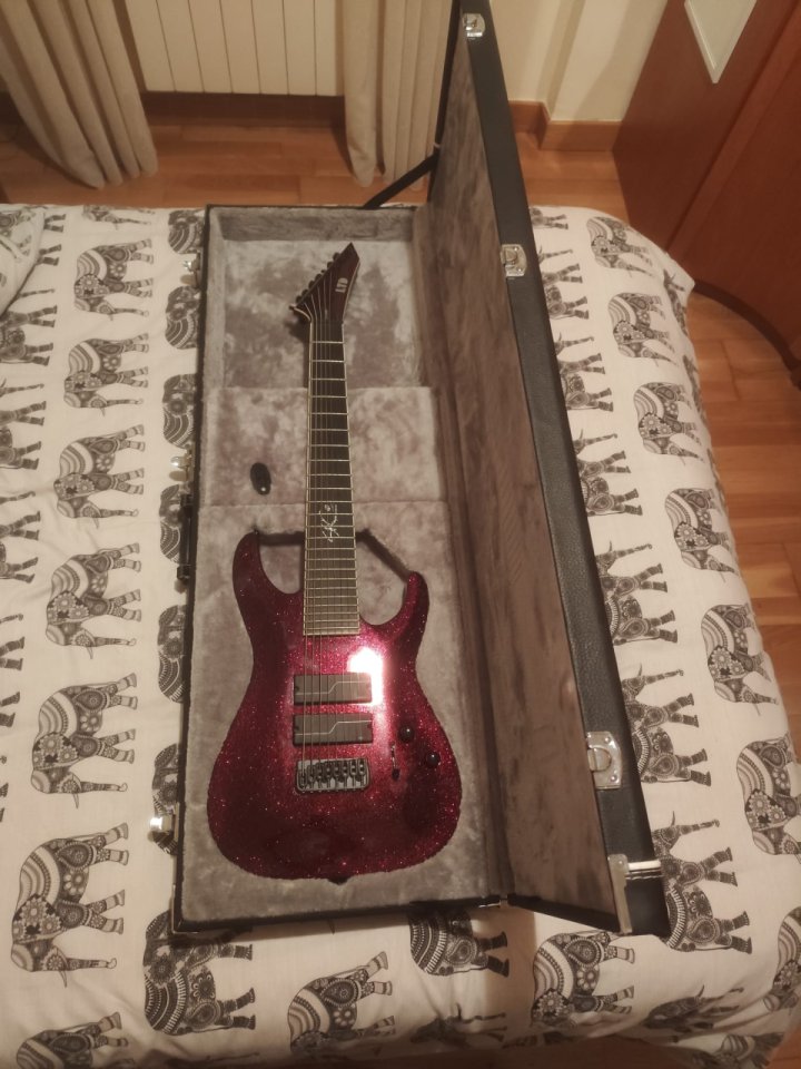 ESP LTD SC-608B Stephen Carpenter Signature 8-String de segunda mano · Foto 1 de 6 · Bizkaia · 1500 €