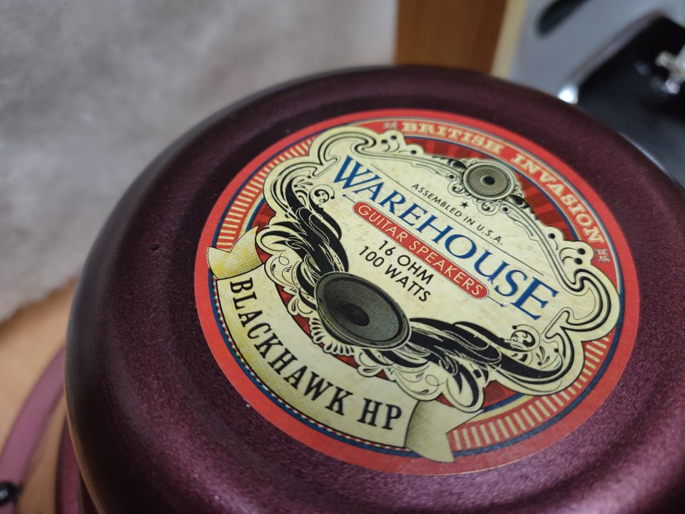 WGS 12" BlackHawk HP alnico de segunda mano · Foto 1 de 3 · Cantabria · 200 €