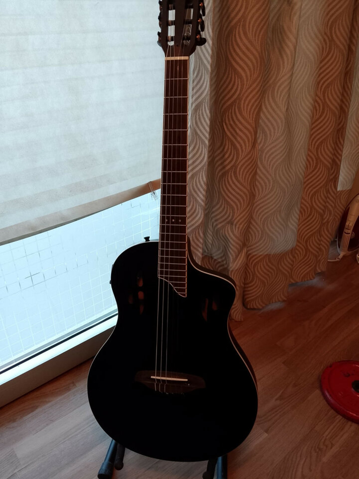 Ortega tour player black