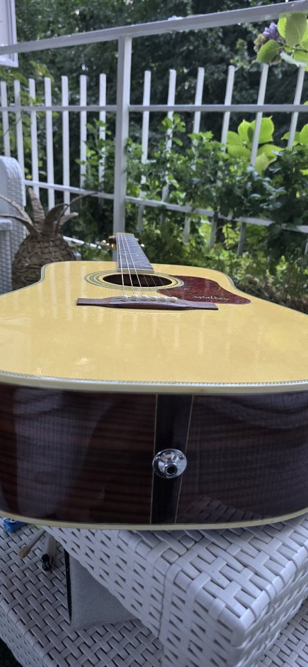 Walden Guitarra  Electroacústica