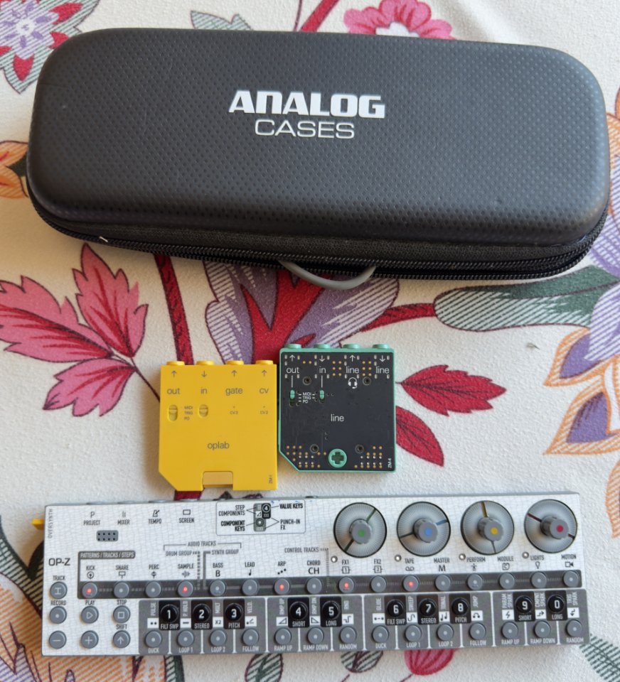 Teenage Op-Z de segunda mano · Foto 1 de 4 · Pontevedra · 490 €